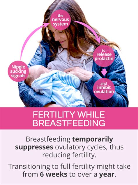 odds of getting pregnant while breastfeeding and on mini pill